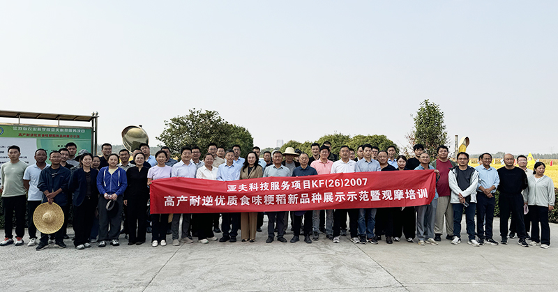 1-800.jpg